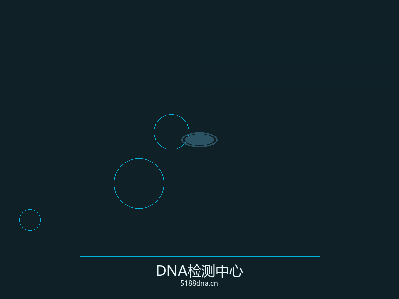 DNA双螺旋结构示意
