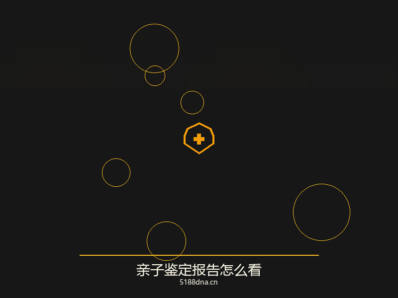 司法亲子鉴定流程图
