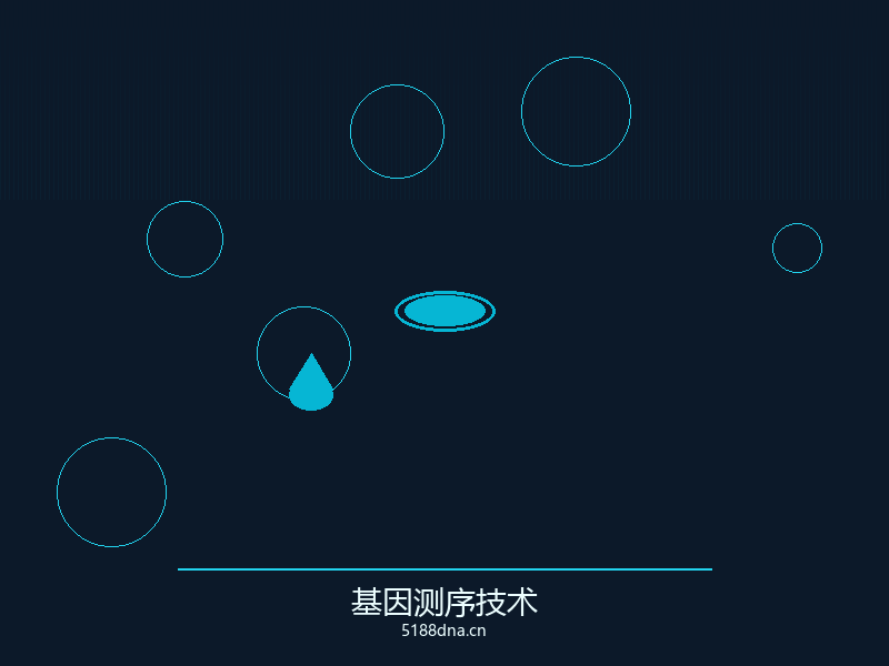 DNA检测技术