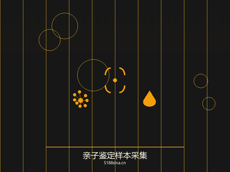 亲子鉴定服务流程
