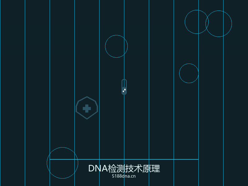 DNA分子结构