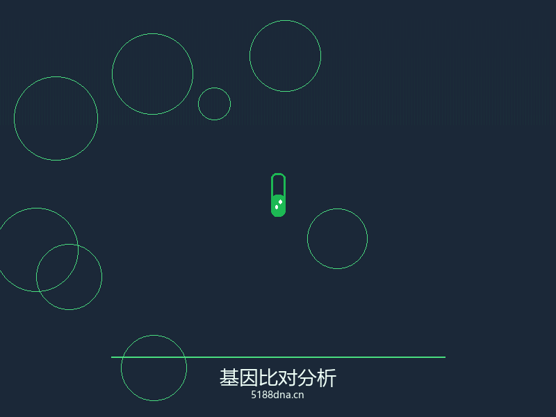 DNA双螺旋结构示意