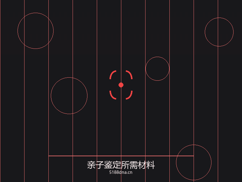 DNA双螺旋结构示意