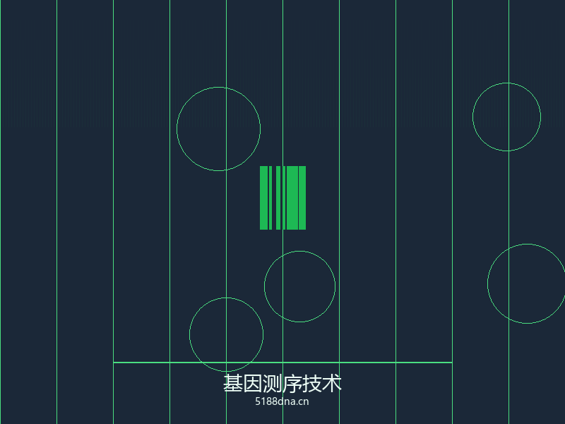 DNA分子结构