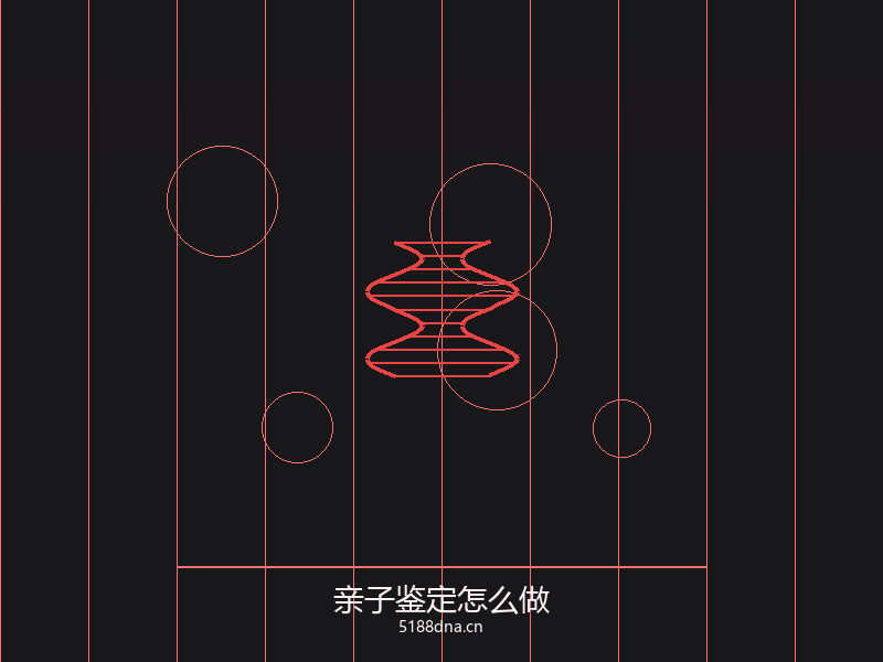 亲子鉴定流程步骤图