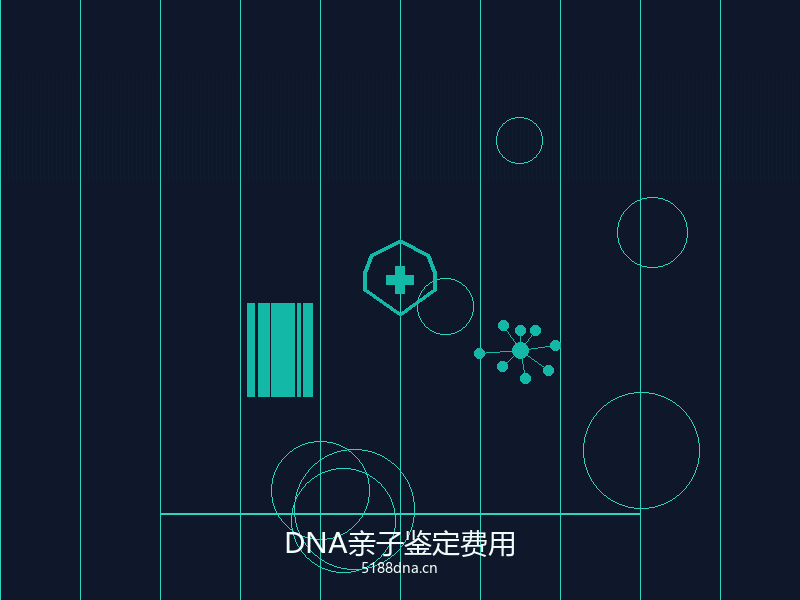 DNA检测技术