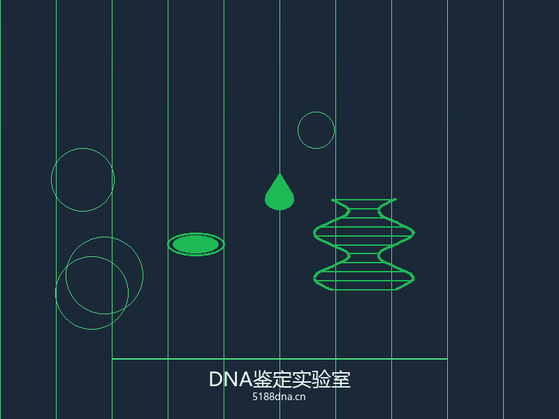 实验室技术人员操作中