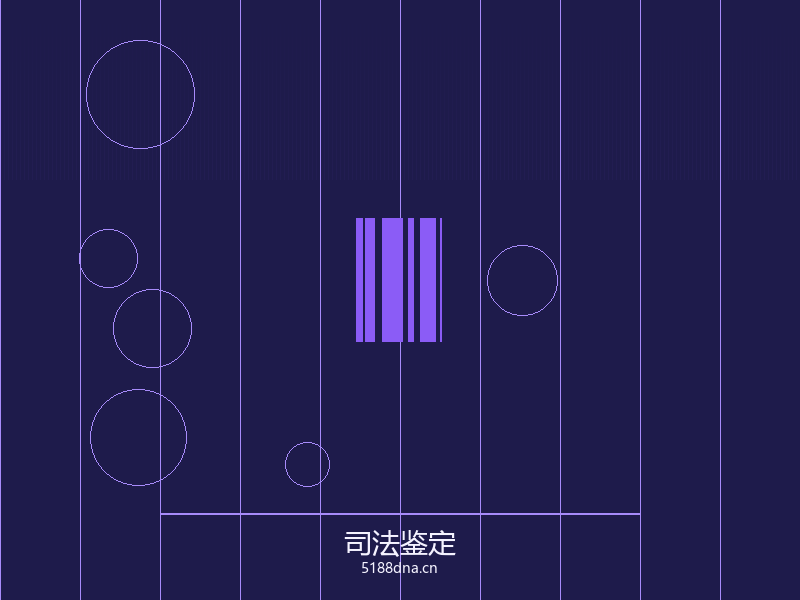 亲子鉴定采样工具包