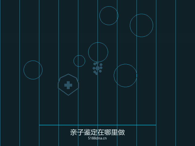DNA双螺旋结构示意