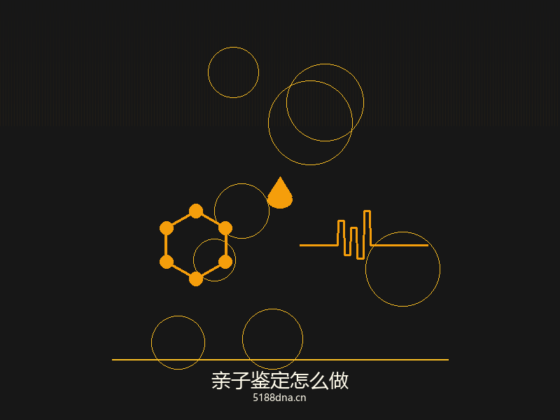 孕期无创亲子鉴定示意图