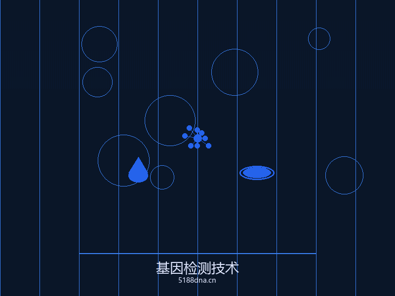 亲子鉴定服务流程