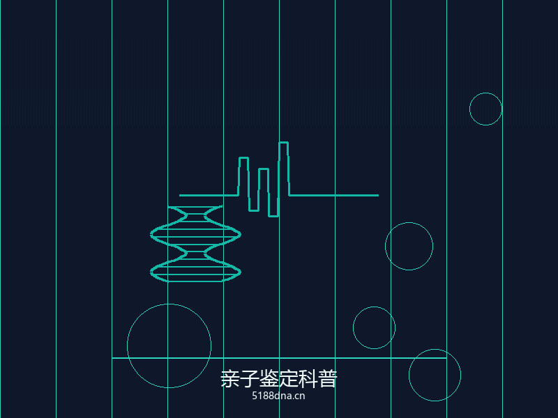 基因测序技术展示