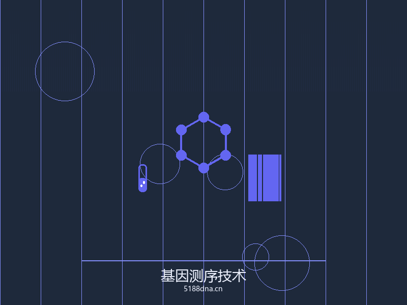 实验室技术人员操作中