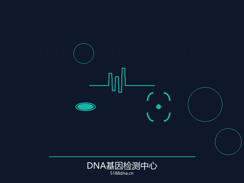 亲子鉴定服务流程