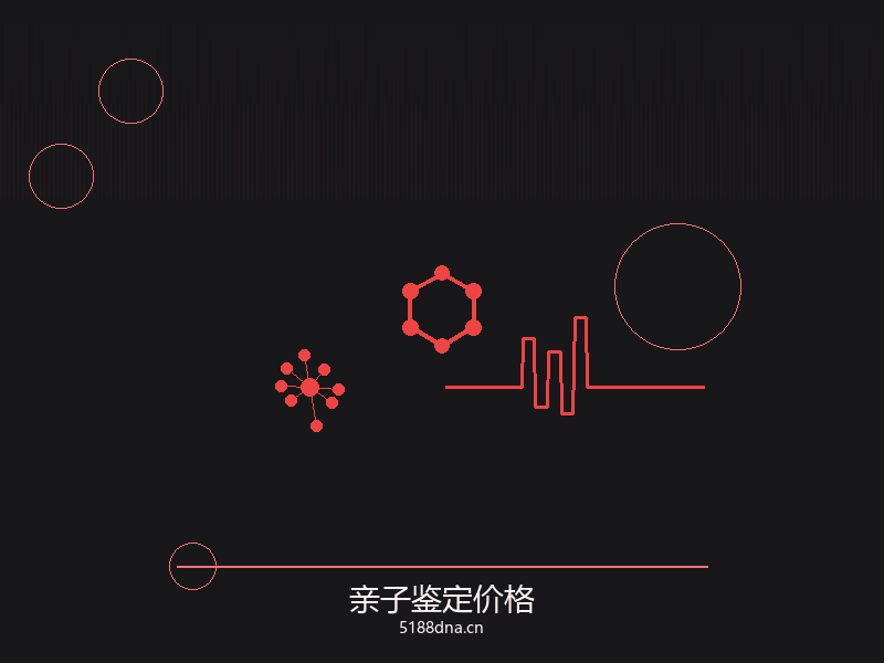 司法亲子鉴定流程图