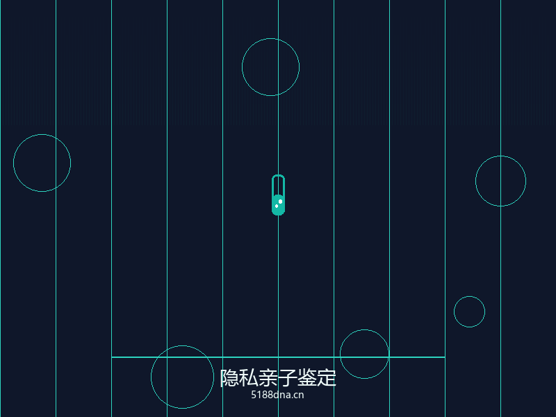亲子鉴定报告样本