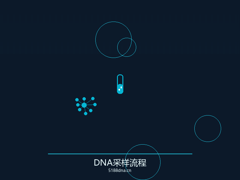DNA双螺旋结构示意