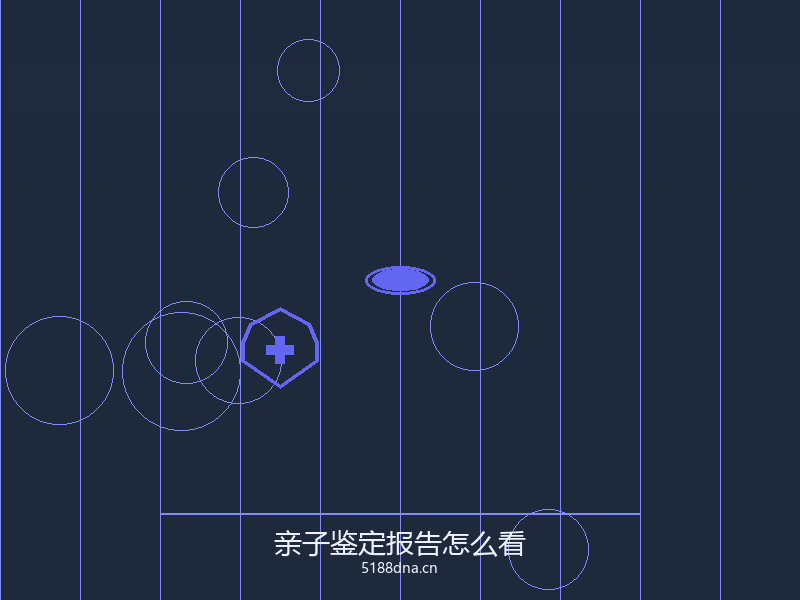 亲子鉴定报告样本